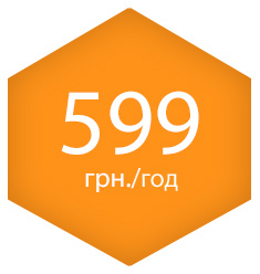 599 грн./год